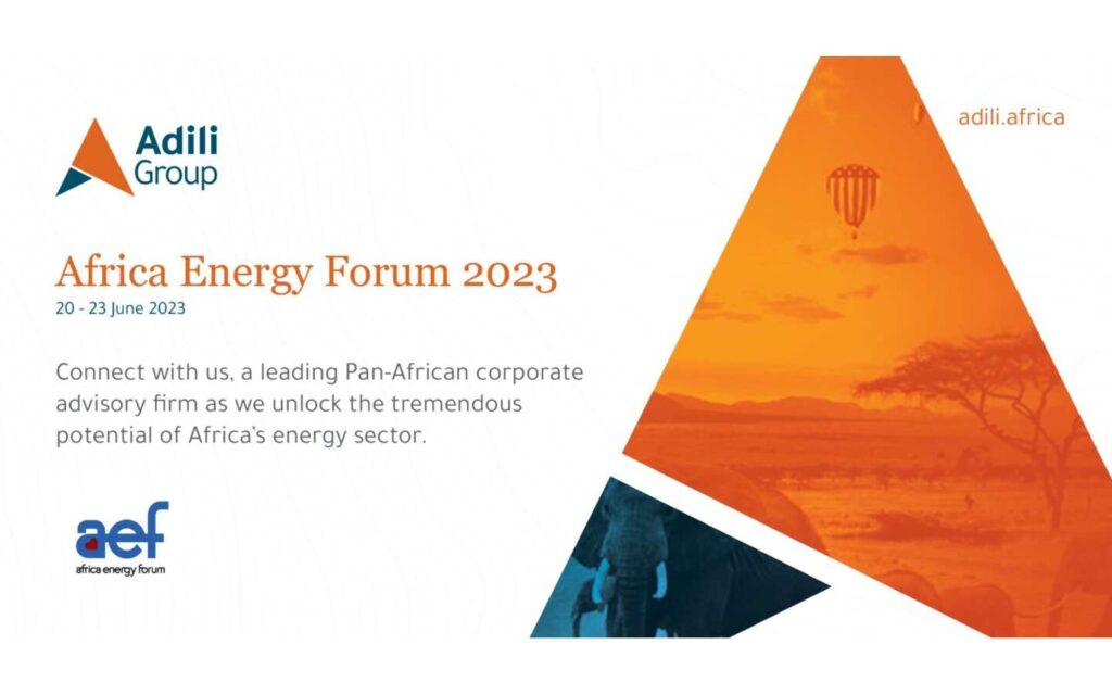 The Africa Energy Forum